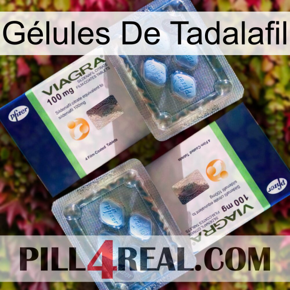 Gélules De Tadalafil viagra5